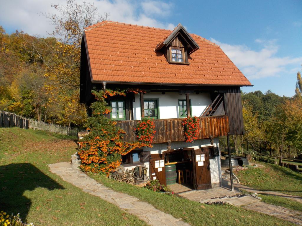 Apartmani Etno Kuca Pod Okicem Samobor Rum bild