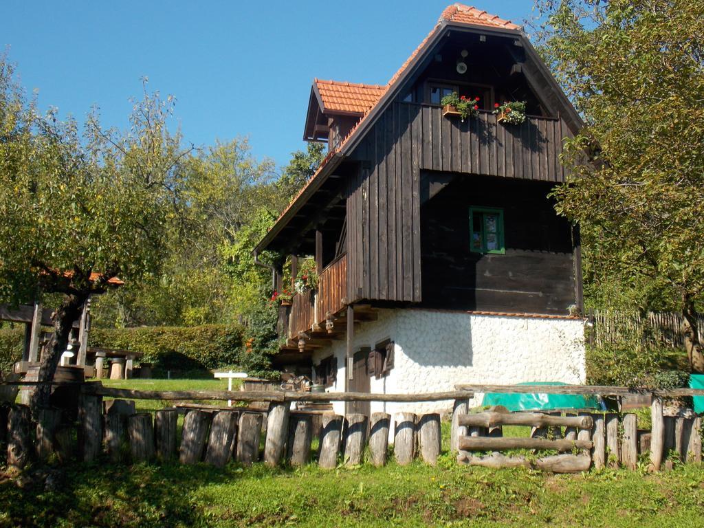 Apartmani Etno Kuca Pod Okicem Samobor Rum bild
